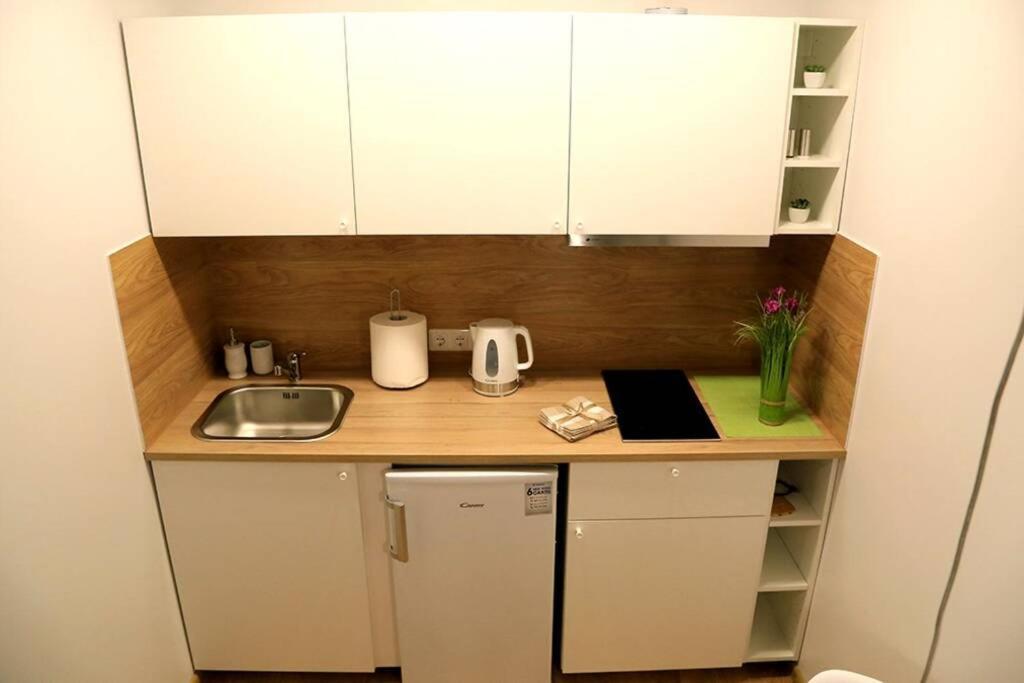 Bright Apartment,For 1-4,Near Old Town Вильнюс Экстерьер фото